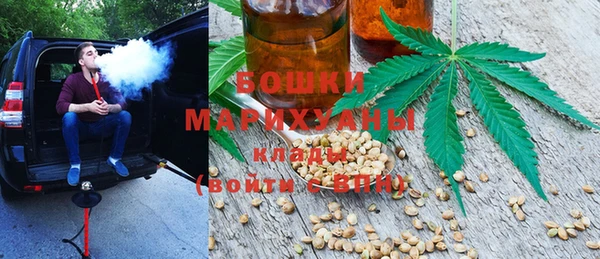 мдпв Богданович