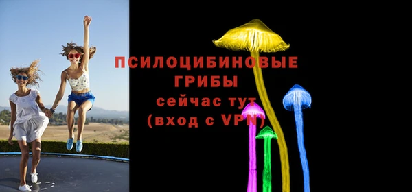 МДМА Сосновка