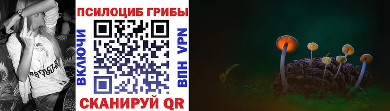 наркота  Углич  Псилоцибиновые грибы Cubensis 