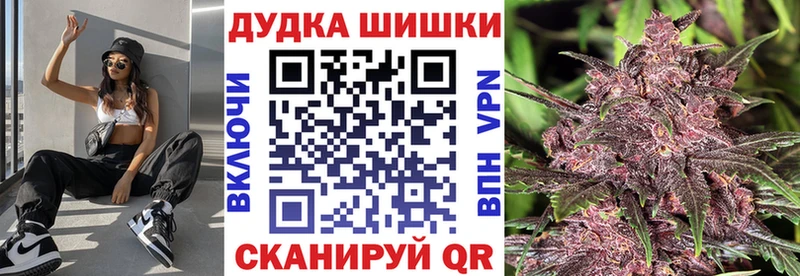 mega зеркало  купить наркотики цена  Углич  Каннабис ГИДРОПОН 